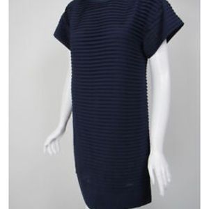 Pleated Navy J Crew shift dress 00